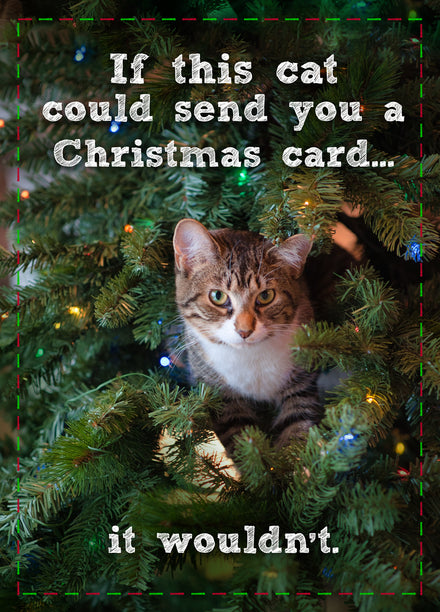 Card editor placeholder