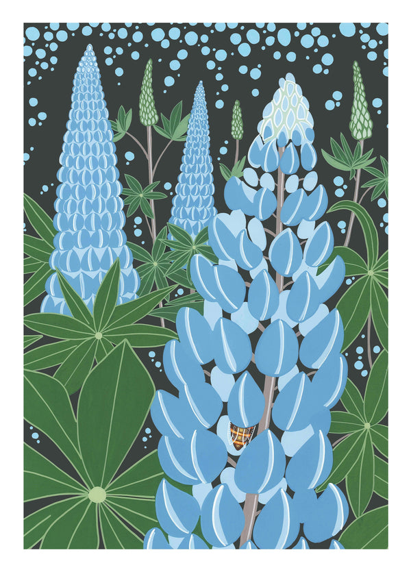 Lupins Card