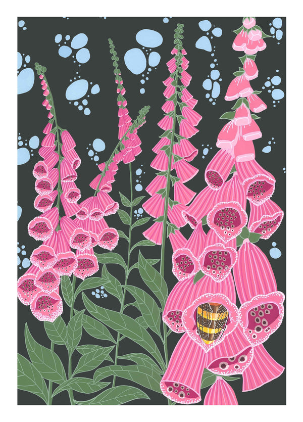 Foxglove Card