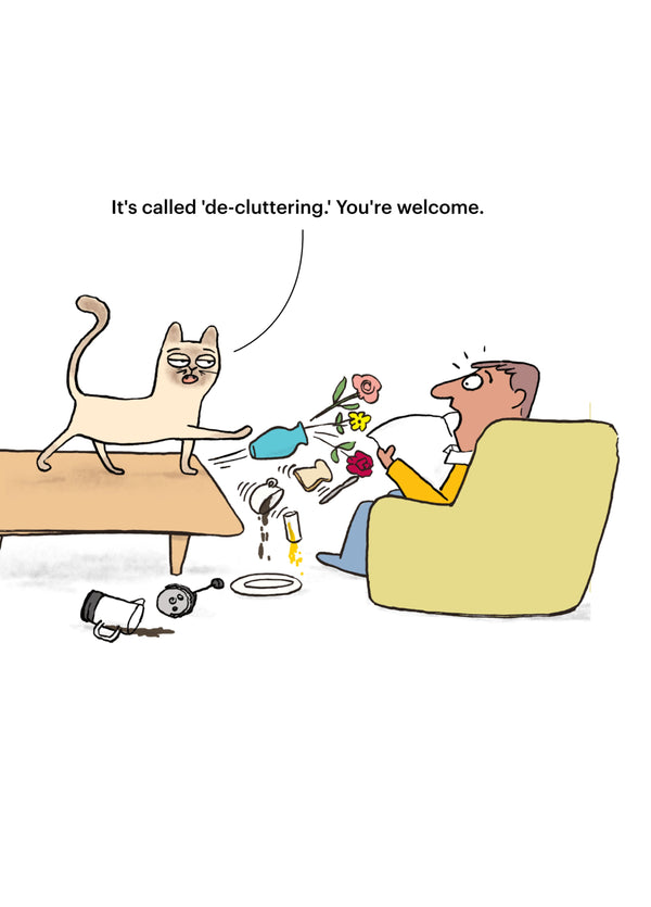 De-clutter Cat Card