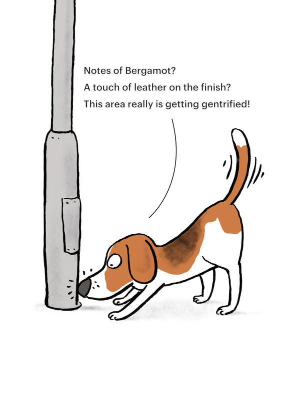 Lampost Dog Card
