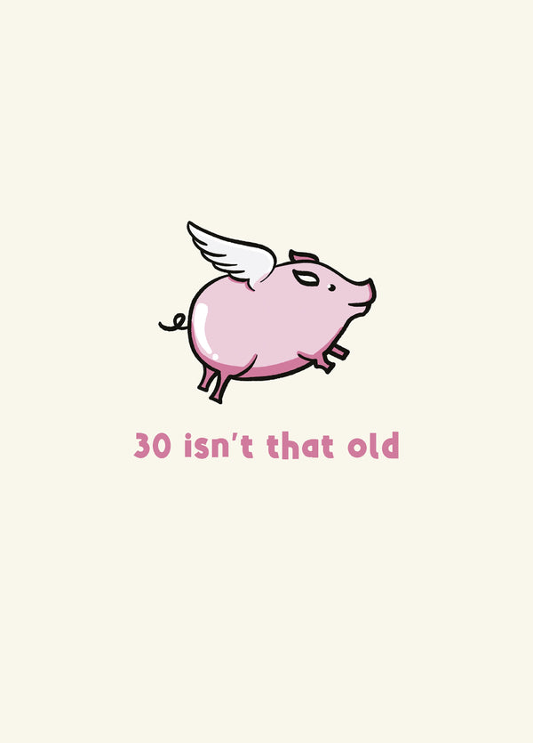 30th Birthday Card - Flying Pig