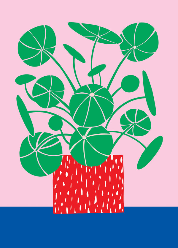 Money Plant Blank Greetings Card