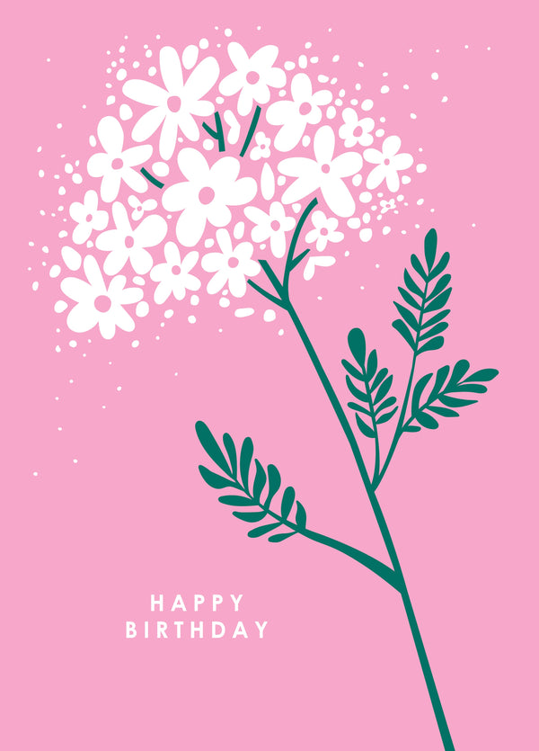 Cow Parsley Birthday Card
