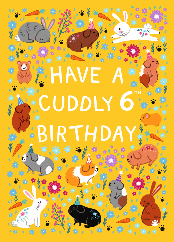 Cute Birthday Card - 6th Birthday - Cuddly Pets