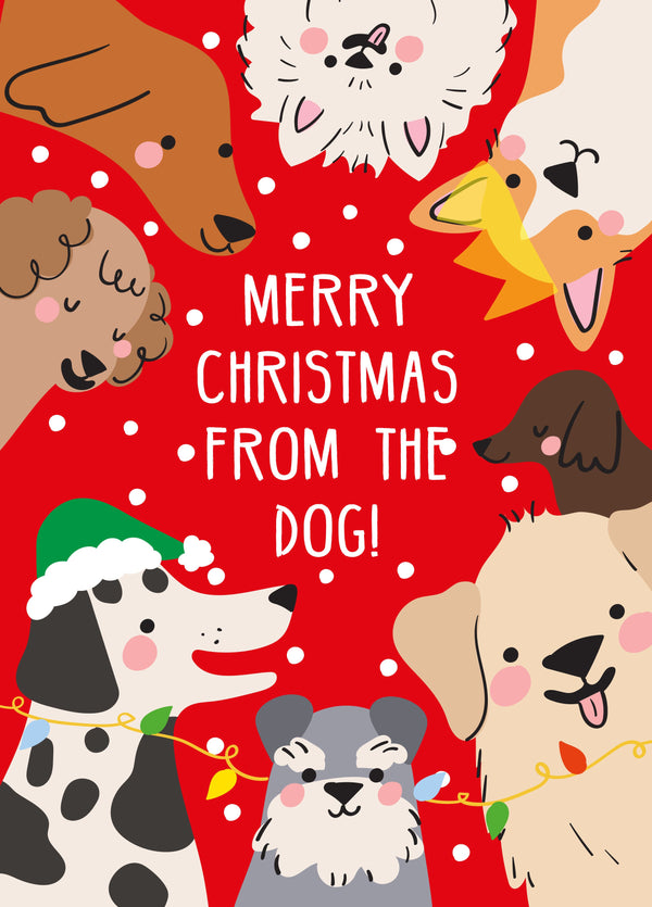 From The Dog Snowy Christmas Card