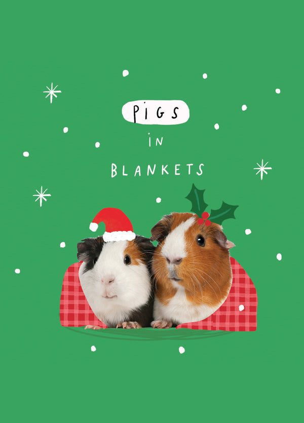 Guinea Pigs In Blankets Christmas Card