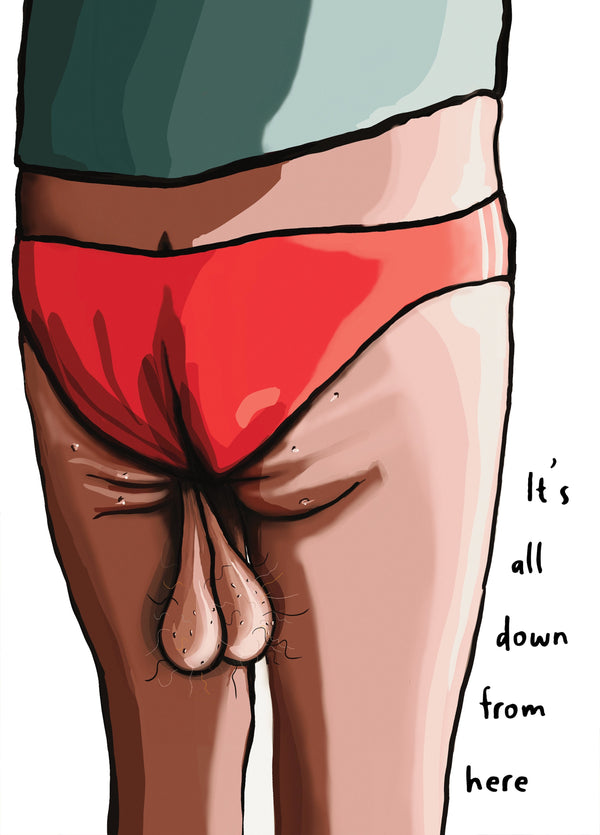 It's All Down From Here! A Naughty Birthday Card For Boys.