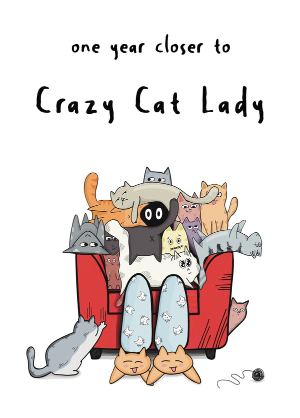 One Year Closer To Crazy Cat Lady